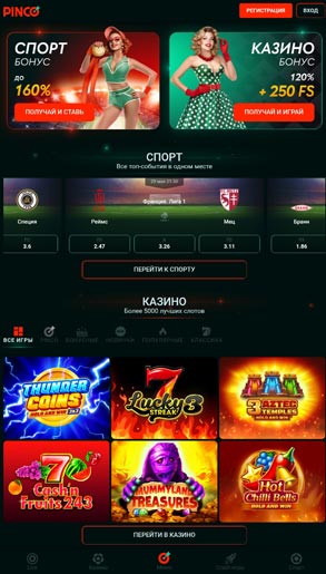 Внешний вид